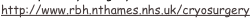 shapeimage_2_link_5